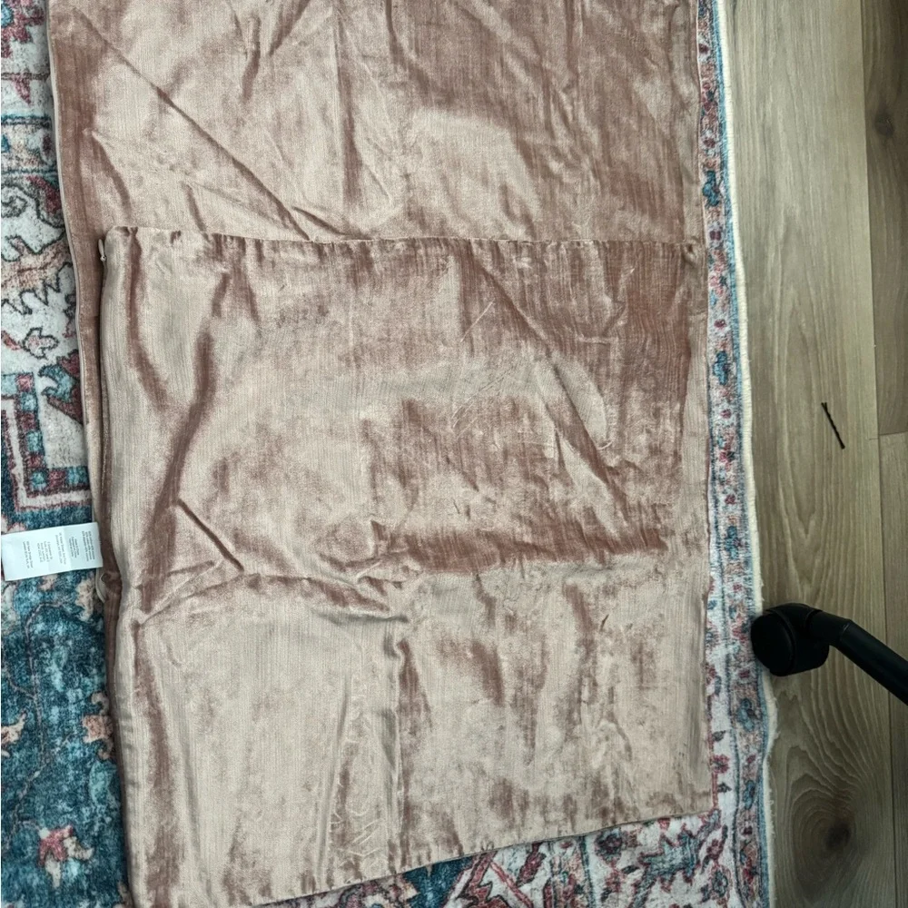 West Elm Velvet Luster Pillow Cases (2)